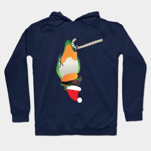 A cute Christmas black headed caique Hoodie